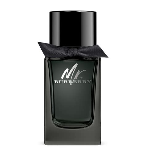 mr burberry uomo.note olfattive|mr burberry indigo perfume.